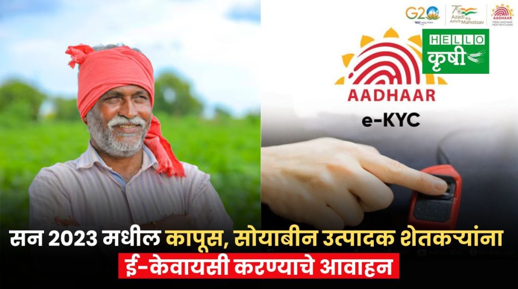 सन २०२३ खरीप हंगामातील कापूस व सोयाबीन उत्पादक शेतकऱ्यांना ई-केवायसी करण्याचे आवाहन